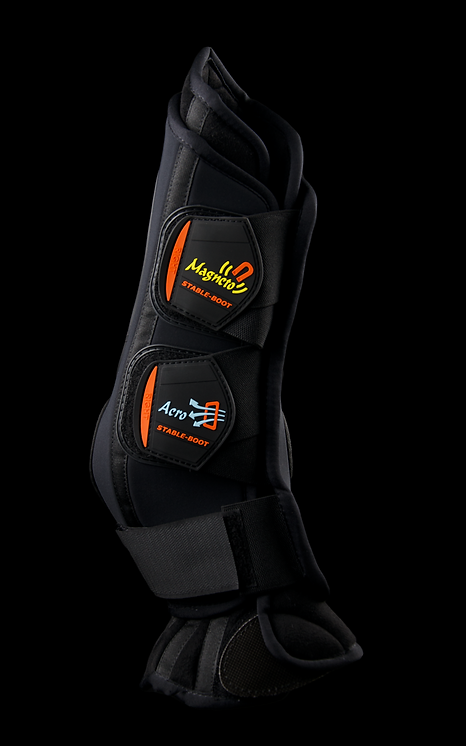 eBoots AeroMagneto (Stable and Travel)