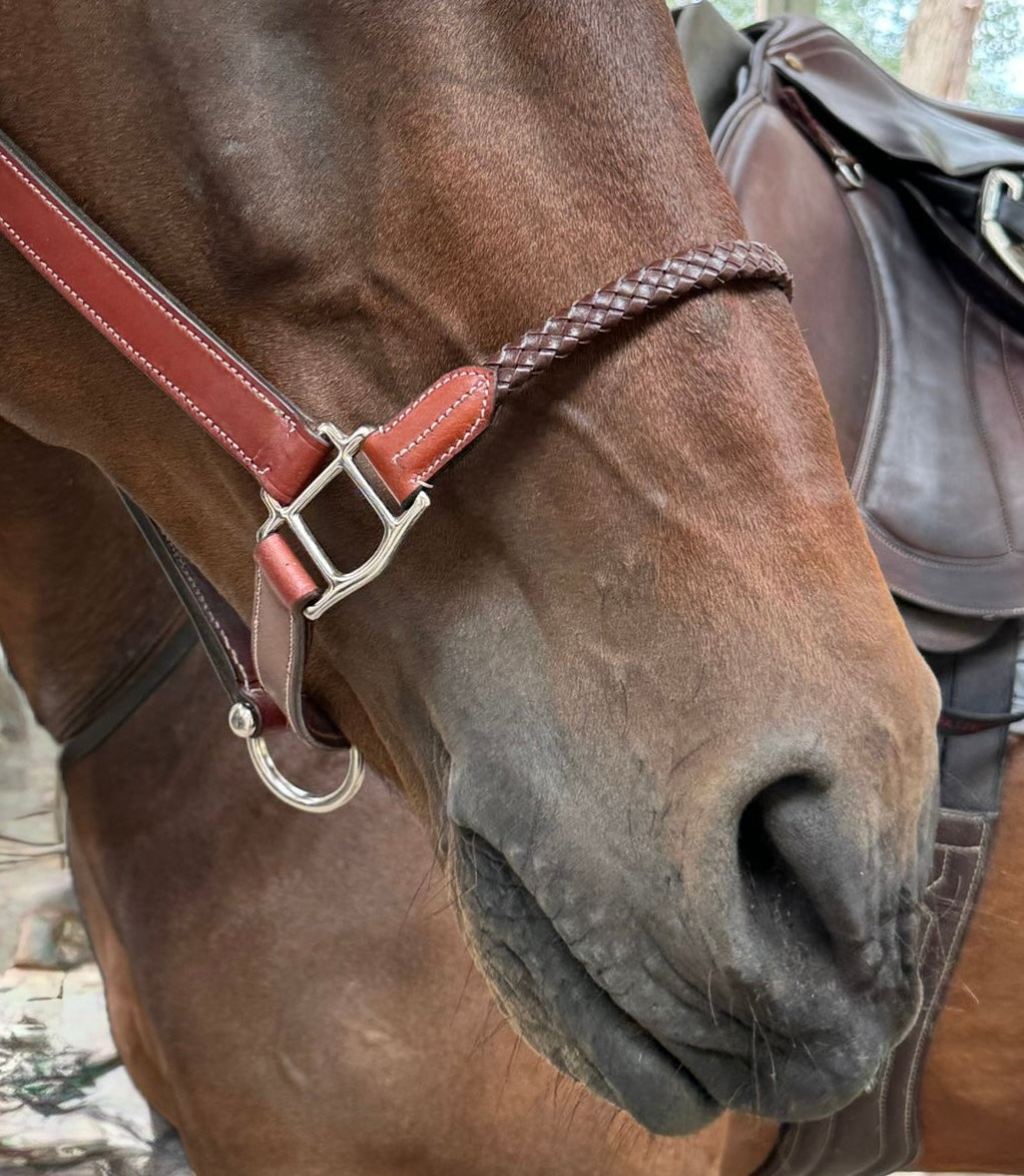 Handmade Leather Halter (Braided leather Nosepiece) Varying colours