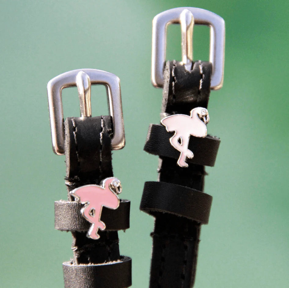 Flamingo Spur Straps