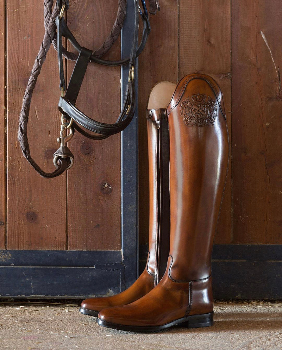 Dressage SIZES 41-45 (BROWN)