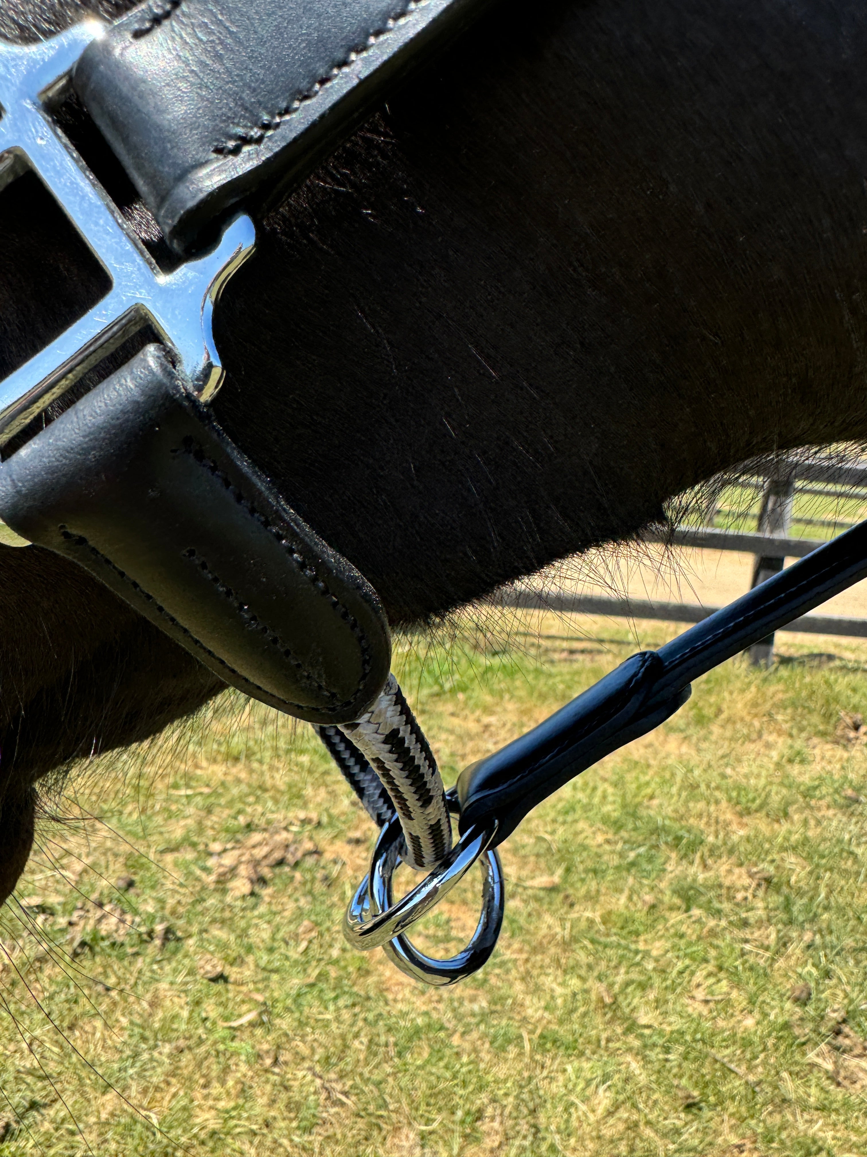 Control Rope Leather Halter