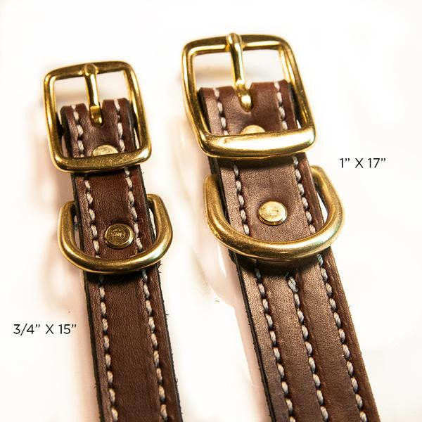 Bridle Dog Collar