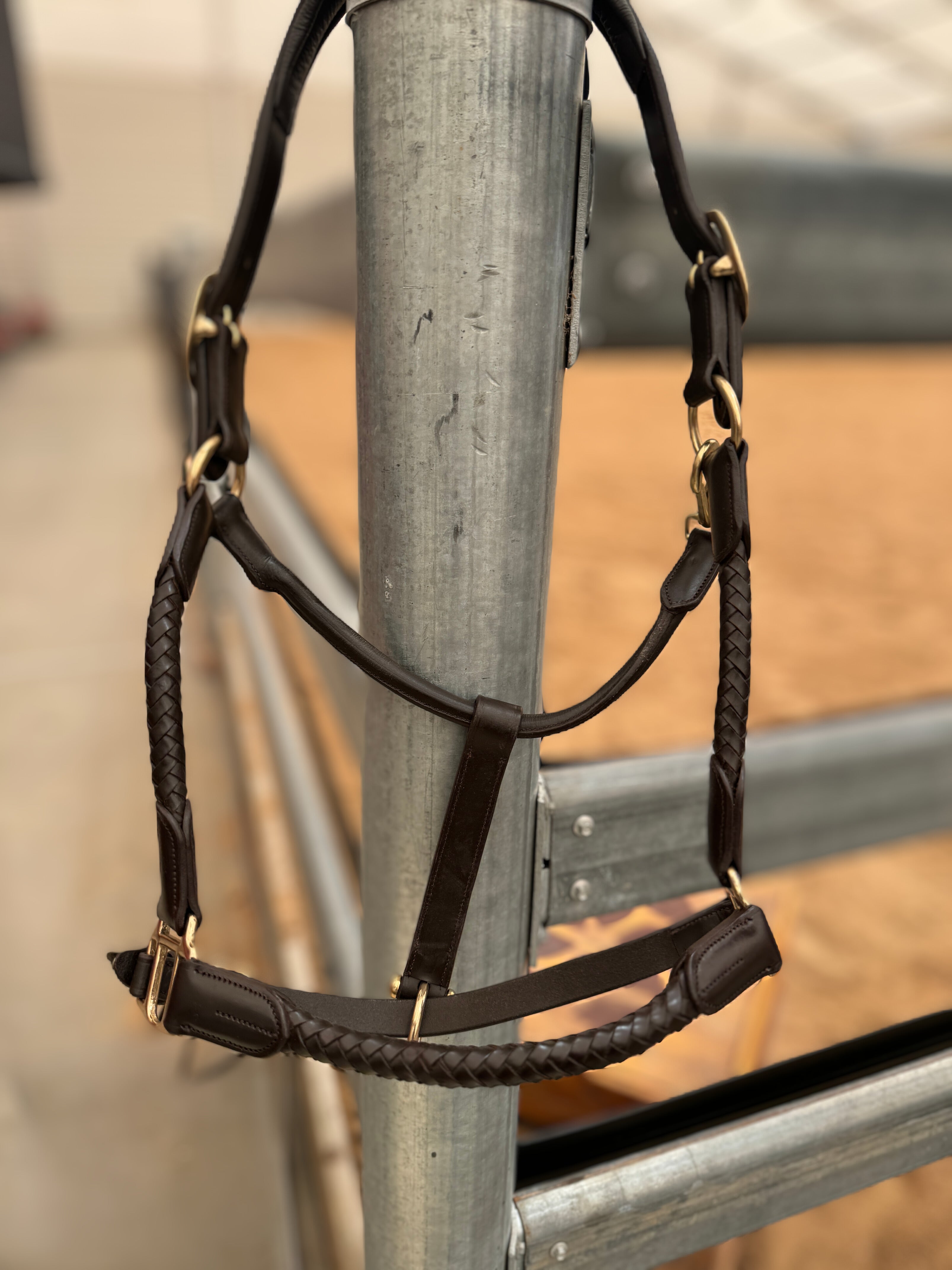 Leather Halter (Braided)